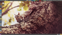 Xubuntu_Xenial_asztal