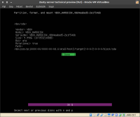 08_disk_information