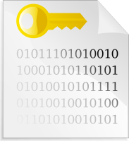 encrypted-binary-file