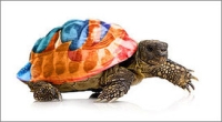 firefox_slow_as_hell_opener