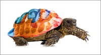 firefox_slow_as_hell_opener