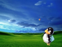 linux_xp
