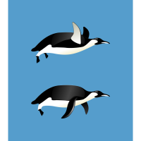 penguins-fly