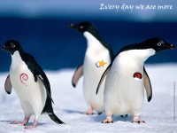 wall-tux